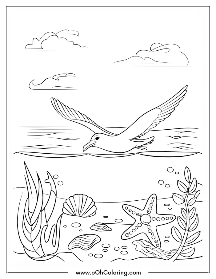 Coloring page depicting a bird flying over the ocean with seaweed, seashell, and starfish below.