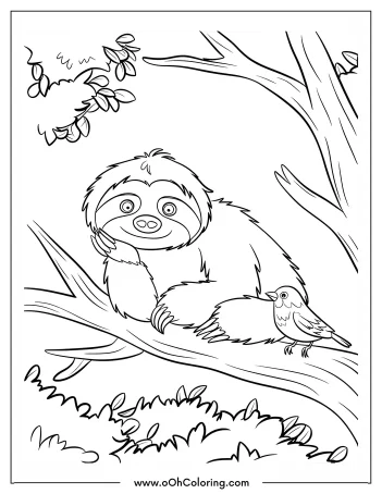 Sloth and bird on a tree branch coloring page.