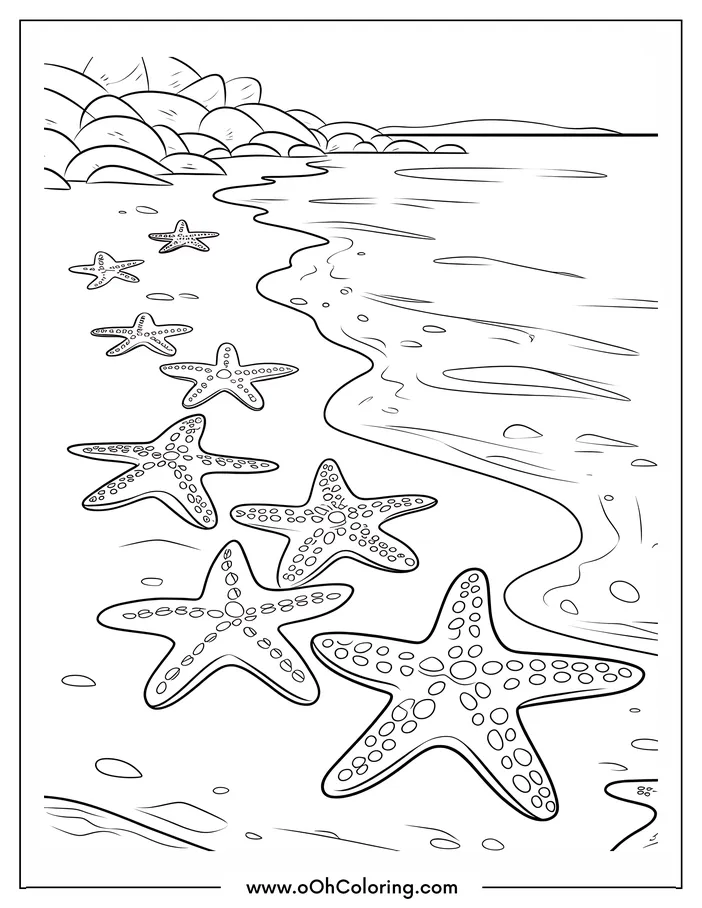 Line drawing of starfish along a beach shoreline.