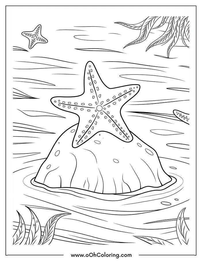 Coloring page with a starfish on a rock surrounded by water and seaweed.