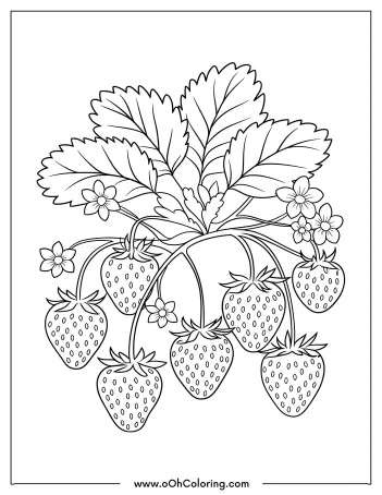 Coloring page depicting a strawberry plant with ripe strawberries and leaves.
