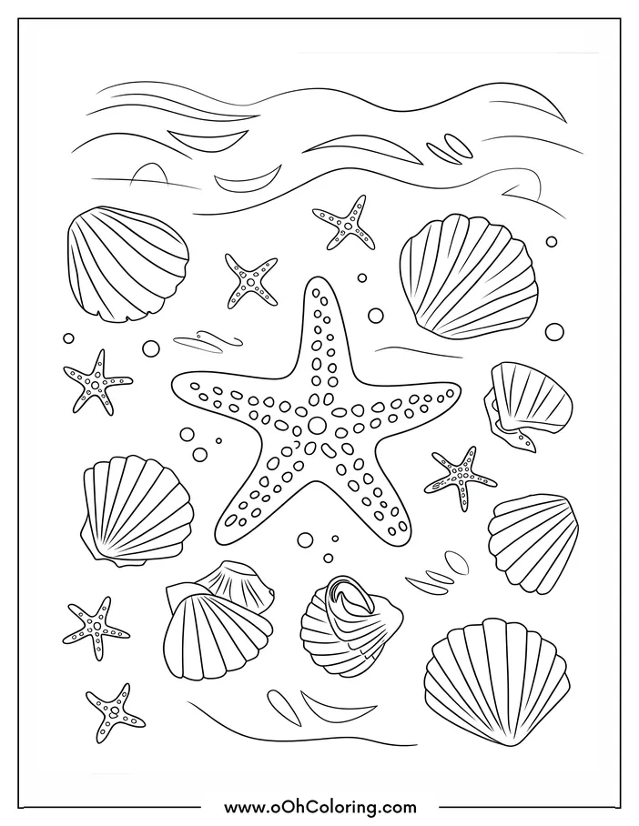 Coloring page with a starfish, seashells, and wavy lines.
