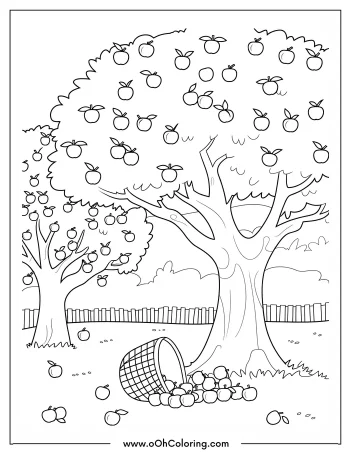 A coloring page of an orchard with apple trees and a basket of apples