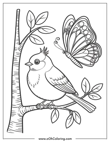 A coloring page with a bird on a branch and a butterfly.