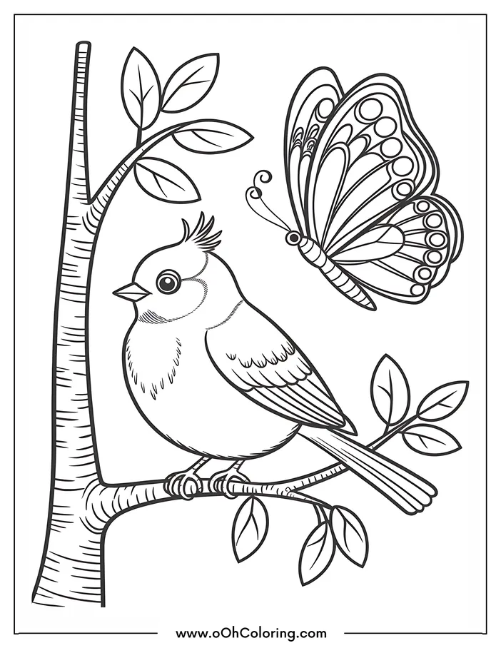 A coloring page with a bird on a branch and a butterfly.