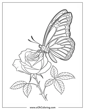 A coloring page of a butterfly sitting on a rose