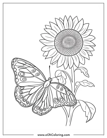 Coloring page with a butterfly and sunflower