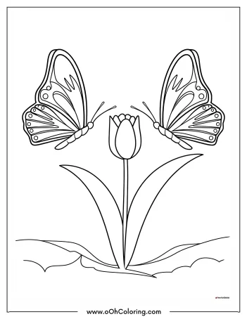 Butterflies and tulip coloring page