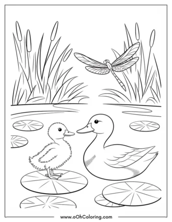 A coloring page of a duck and duckling on lily pads with a dragonfly above.