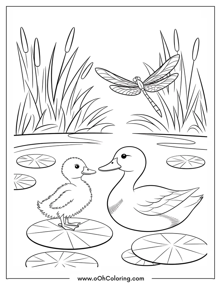 A coloring page of a duck and duckling on lily pads with a dragonfly above.