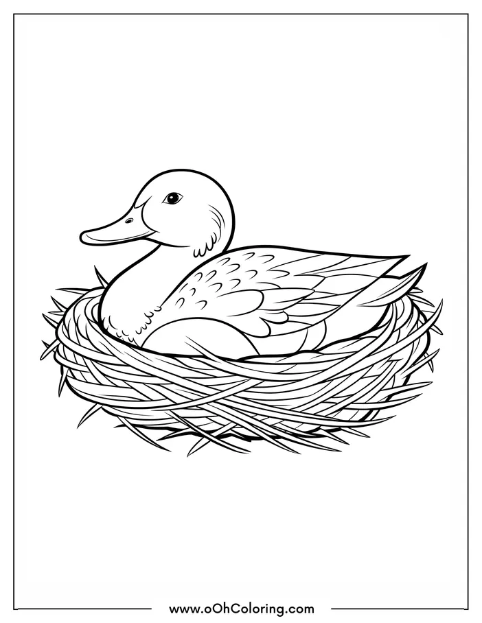 A coloring page of a duck sitting in a nest