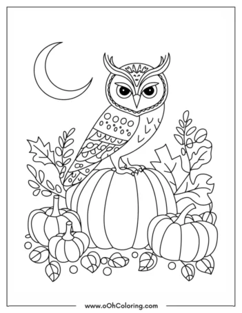 A coloring page of an owl sitting on a pumpkin with leaves and a crescent moon