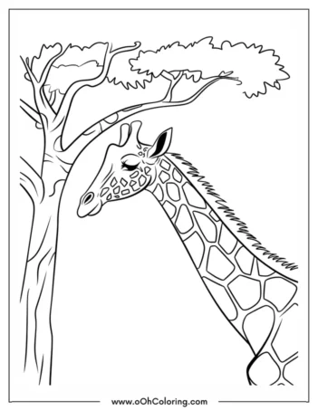 A coloring page of a giraffe standing by a tree