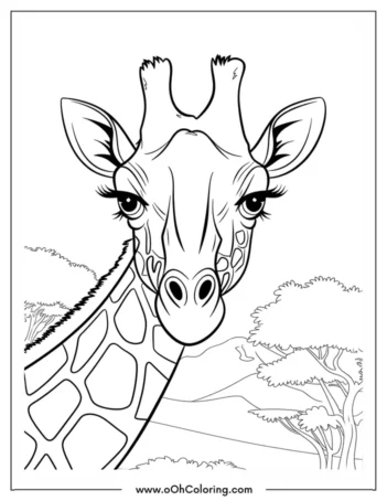 A coloring page of a giraffe with a calm look
