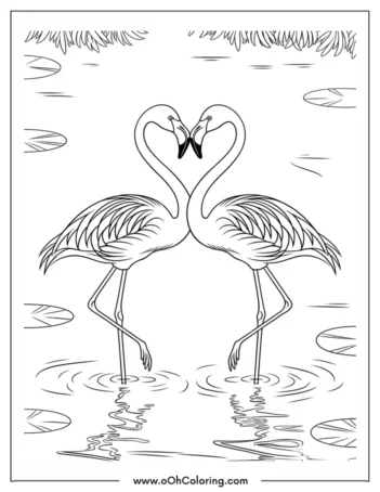 A coloring page of two flamingos standing in water