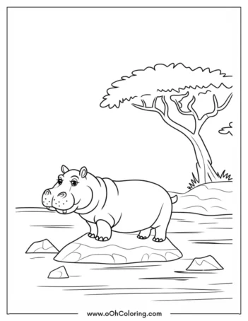 A coloring page of a hippopotamus on a rock by a river