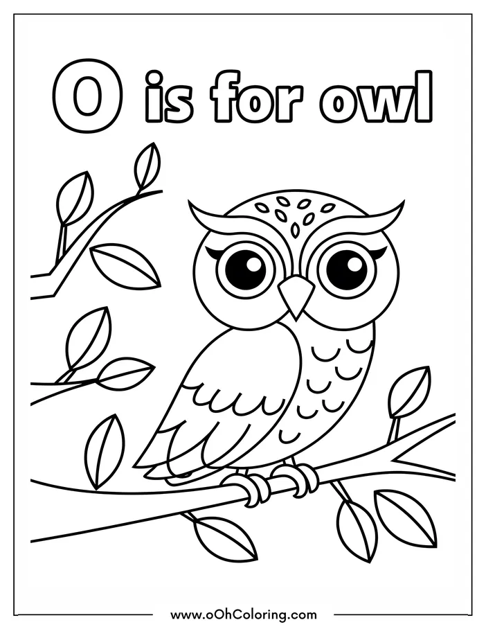 A coloring page featuring an owl sitting on a branch with the text 'O is for owl'