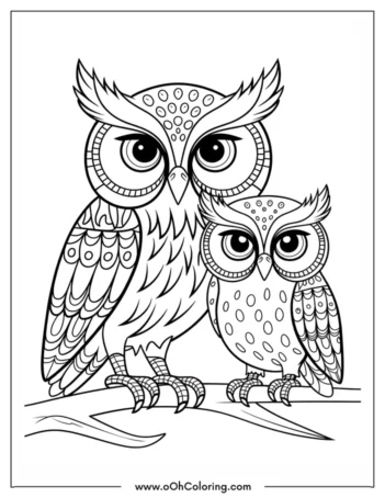 A coloring page of two owls with detailed patterns
