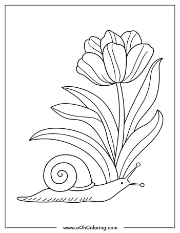 A coloring page of a snail next to a tulip