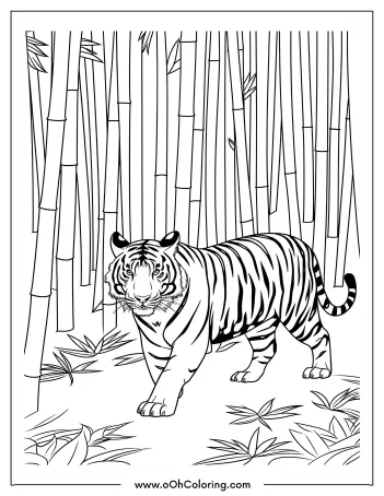 A coloring page of a tiger in a bamboo forest.