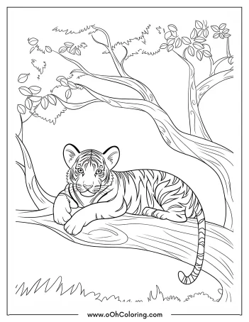 Coloring page of a tiger cub lounging on a tree branch with foliage around.