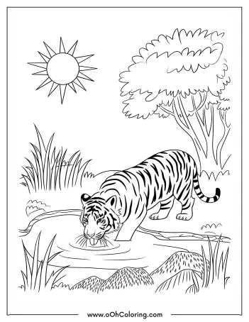 Coloring page of a tiger drinking at a watering hole under the sun in a natural setting.