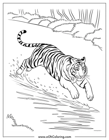 Coloring page of a tiger jumping over a river in a forest.