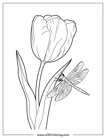 A coloring page of a tulip with a dragonfly on its stem.
