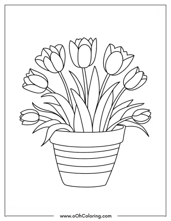 A coloring page of a pot with blooming tulips