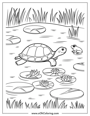 Coloring page of a turtle and a frog in a pond with lily pads